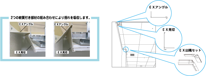 ex_description