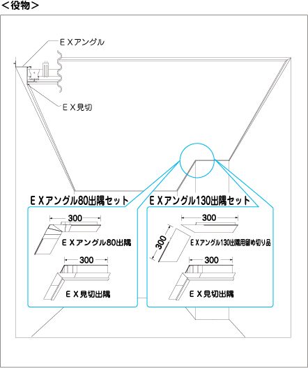 ex_description